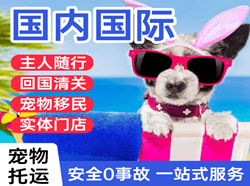 三女河空运公司国际宠物托运 【国